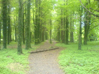 dsc00302_original.jpg