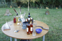 M.G. 6 – Grove – Samhain Altar