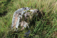8K6A0645_w.jpg
