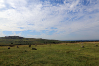 8K6A0647_w.jpg