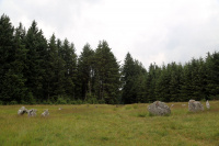 8K6A0651_w.jpg