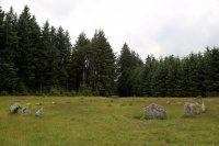 8K6A0652_w.jpg