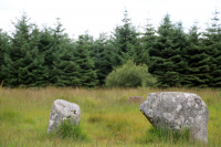8K6A0656_w.jpg