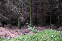 8K6A0657_w.jpg