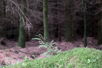 8K6A0658_w.jpg