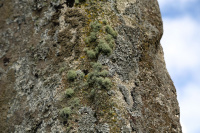 8K6A0668_w.jpg