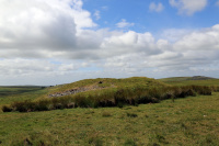 8K6A0672_w.jpg