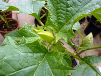 P1000489_w.jpg