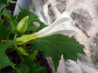 P1000502_w.jpg