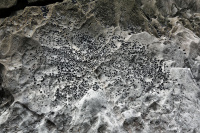 8K6A0617_w.jpg
