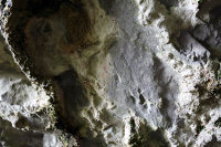 8K6A0633_w.jpg