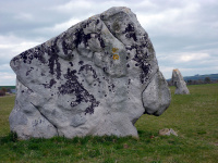 P1010229_w.jpg
