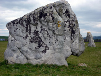 P1010232_w.jpg
