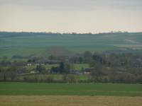 P1010236_w.jpg