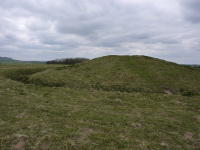 P1010239_w.jpg