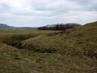 P1010240_w.jpg