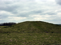 P1010241_w.jpg
