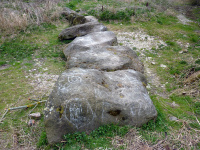 P1010250_w.jpg