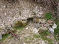 P1010254_w.jpg