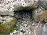 P1010255_w.jpg
