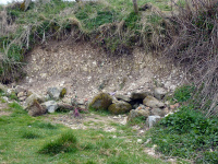 P1010257_w.jpg