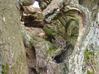 P1010259_w.jpg