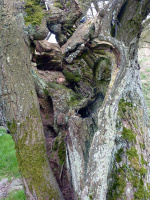 P1010260_w.jpg