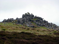 P1000003_w.jpg