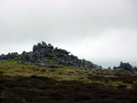 P1000004_w.jpg