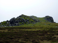 P1000005_w.jpg