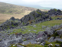 P1000008_w.jpg