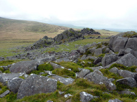 P1000009_w.jpg
