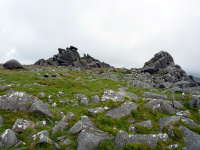 P1000010_w.jpg