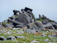 P1000011_w.jpg