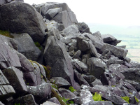 P1000014_w.jpg