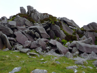 P1000018_w.jpg