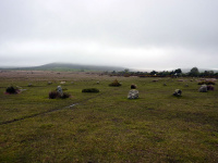 P1000019_w.jpg