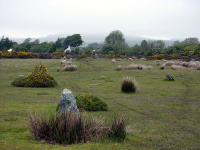 P1000020_w.jpg