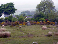P1000021_w.jpg