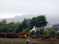 P1000022_w.jpg