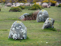 P1000025_w.jpg