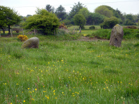 P1000026_w.jpg