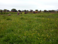 P1000027_w.jpg