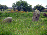 P1000028_w.jpg