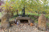 8K6A2565.JPG