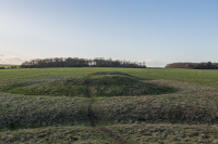 _K6A2584.JPG