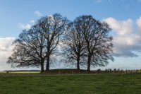 8K6A2576.JPG