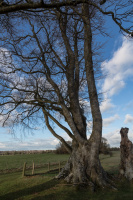 8K6A2580.JPG