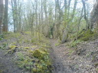 DSC00121.JPG