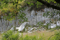 _K6A2664_w.jpg